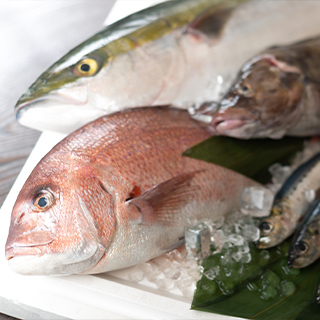 魚
